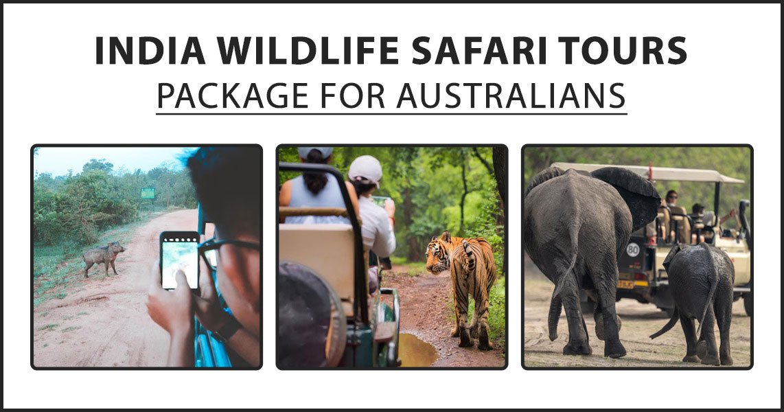 Indian Wildlife Safari Tours Package for Australians